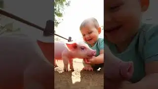 Too Cute! Baby Pets a Friendly Pig for the First Time! 🐷💕