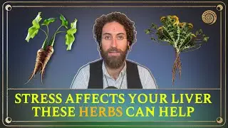 [Ep. 248] Stress Affects Your Liver