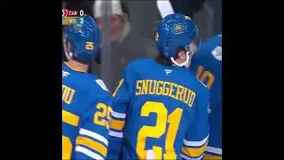 FINAL: St. Louis Blues  3 -0 Carolina Hurricanes