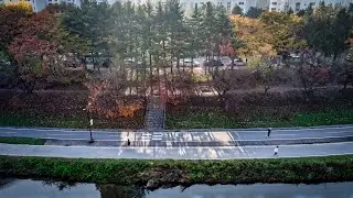 Foggy Autumn Morning (feat.mTracker mFlare tascamX6) - 분당탄천 안개낀 가을아침 스케치  - Cinematic Drone footage