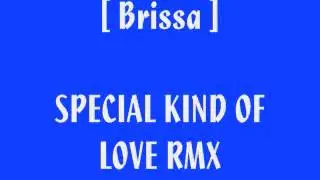 [ Brissa ] SPECIAL KIND OF LOVE (DJ PUP RMX)