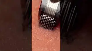 &bull;| SLOW MOTION TATTOO |&bull; INCREDIBLE😱🤯🤯😵&zwj;💫😦🔥#tattoo#tatoo#slowed#slomo#incredible#slowmotion