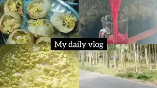 ಬಟಾಣಿ ಬಾತ್ ಜೊತೆ ನನ್ನಾ day routine 😊😊#ColourTherapy #HealingWithColors #Chromotherapy #