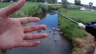 Catching Fish In Dirty Pool Water