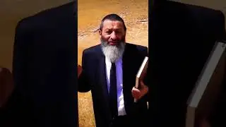 Земля жизни для живущих настоящей жизнью.