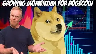 Growing Momentum for Dogecoin