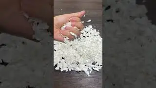 Nature's Packaging Material: How Sugarcane Becomes Protective Inserts #moldedpulpmanufacturer