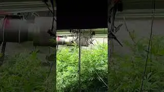 About done stretch. She&rsquo;s s tent filler. Look at this shit!