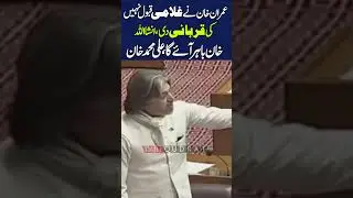 Ali Muhammad Khan Aggressive Speech In National Assembly 🔥 PTI Leader Powerful Words