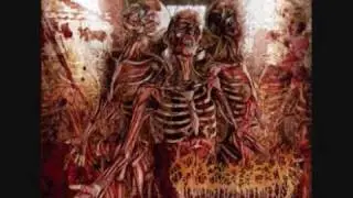 Fleshrot - Expanding The Void