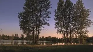 Le D&eacute;sastre des Champs d'Iris (The Disaster of the Gladden Fields)