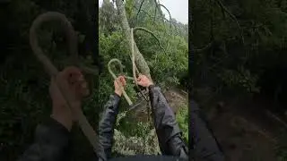 Half hitch rigging #treework #climb #knots