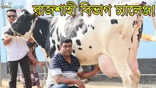 বাংলাদেশ কাঁপানো আজকে রফিক ভাইয়ের হাই কোয়ালিটির রাজশাহী বিভাগ চ্যালেঞ্জ করা গাভী। Krishi and khamar