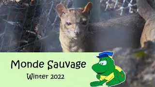 Monde Sauvage, winter 2022