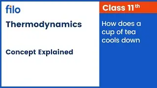 How does a cup of tea cools down | Thermodynamics | Physics