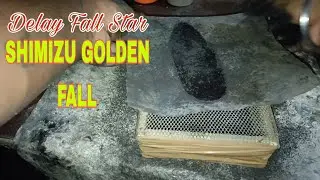 SHIMIZU WILLOW STAR Composition| Golden Fall Star ✨|#handmade #firecrackers @allrounderchotu