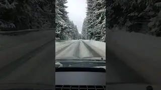 Viata prin Apuseni