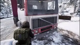 Vigor Highlights*