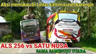 Virall...Dua Bus Cantik Di Lintas Sumatera, Satu Nusa VS ALS || Sama - Sama Menuju Utara
