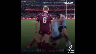 NRL 2024
