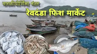 नारळी पौर्णिमेनंतर रेवदंडा फिश मार्केट | Revdanda Fish 🐟 Market
