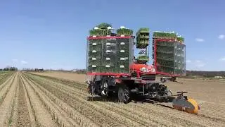 Onion 4 rows Seedling Transplanter One-person Operation High Speed Type - Minoru OPT40