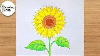 how to draw sunflower easily || (step by step)