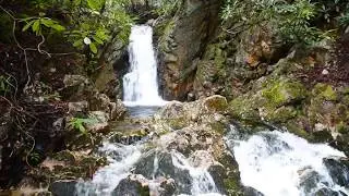 Lower Dick Creek Falls, Unaka Mountain Wilderness, Erwin, Tennessee