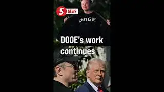 Trump's cabinet will work with DOGE employees after Musk's exit, says White House