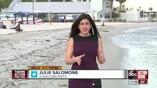 Nurdle Patrol looks for plastic pellets on Florida's beaches