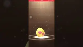 Hatch #406 - Budew | Pokemon GO