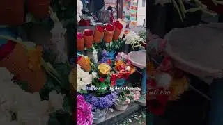 Flowers in Pondy❤️ #tamil #song #love #music #pondy #pondydiaries
