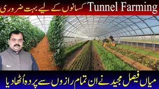 Importance of Tunnel Farming for Farmers