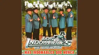Los Vende Patrias
