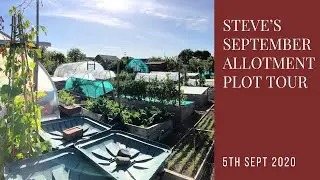 September allotment plot tour
