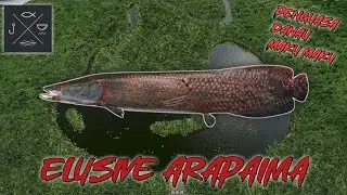 ELUSIVE ARAPAIMA - MAKU MAKU LAKE || FISHING PLANET INDONESIA 2024