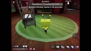 Vee solo run (FAIL) to floor 8!