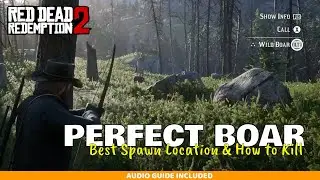 Идеальная охота на кабана &mdash; путеводитель для идиотов по RDR2