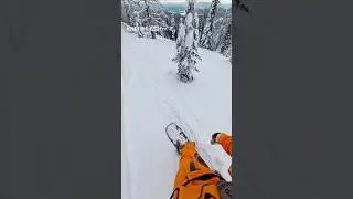 В восторге от свежего снега!