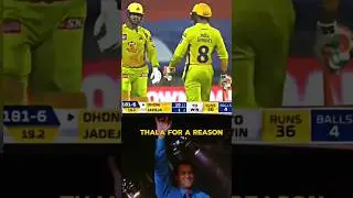 THALA FOR A REASON #memes #funny #cricket #cricketfunnyvideo #shorts
