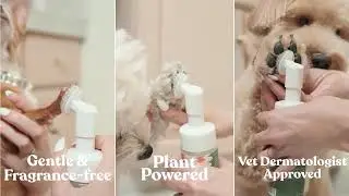 Say Goodbye to Dirty Paws! 🐶 Wet Ones for Pets Foaming Paw Cleaner Review