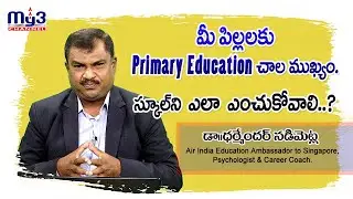 Importance Of Primary Education || #childcareer #primaryeducation #careerguidence #MY3 CHANNEL