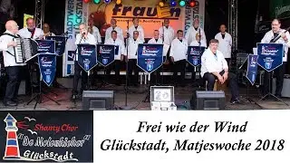 De Molenkieker - Frei wie der Wind