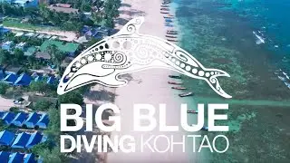 The Best Dive Center on Koh Tao!
