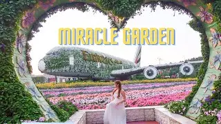 Dubai Miracle Garden - The Wold's Largest Themed Flower Garden