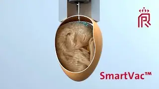 SmartVac In-ovo vaccination and nutrition