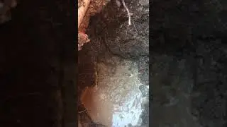 Concealed Water Leak Detection & Repair in Coorparoo (Brisbane, QLD)