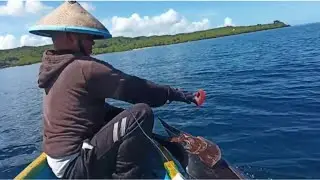 Teknik handline|| mancing ikan layaran/Marlin,cukup buka insang saja,ikan langsung lemas#umpanhidup