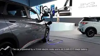 BYD's Dolphin EV Hits North America with 500,000th Unit Produced