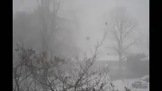 A Peaceful Snowy Morning